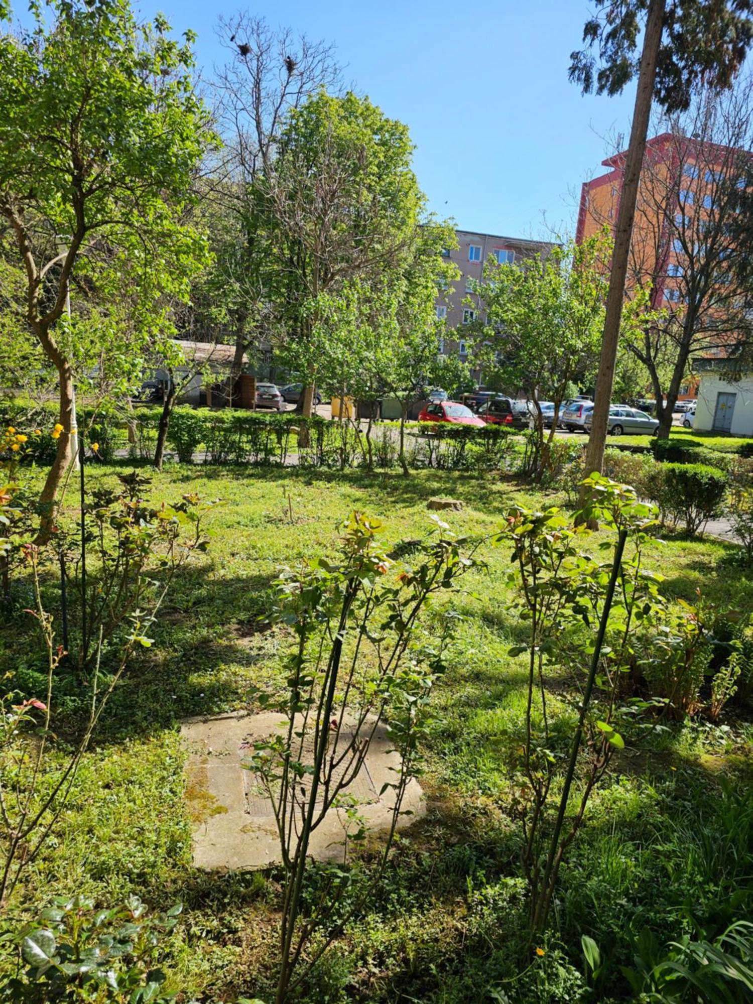 Apartament Alina Deva Exterior photo